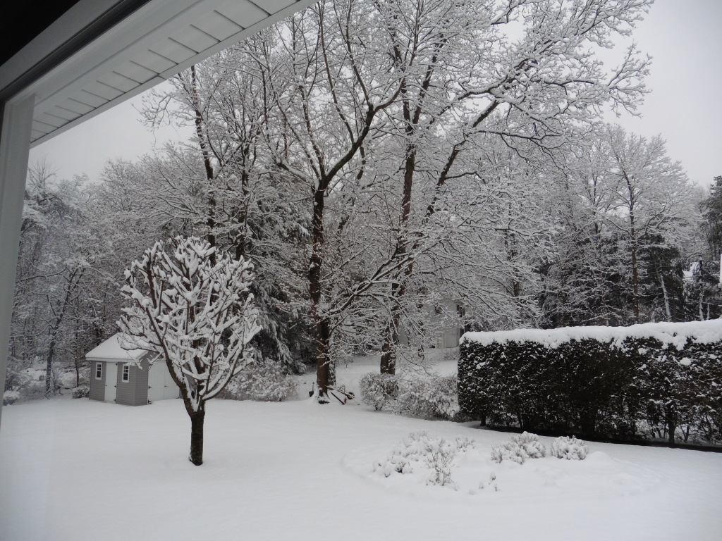 Brrrr……It’s Cold Outside AJM Real Estate