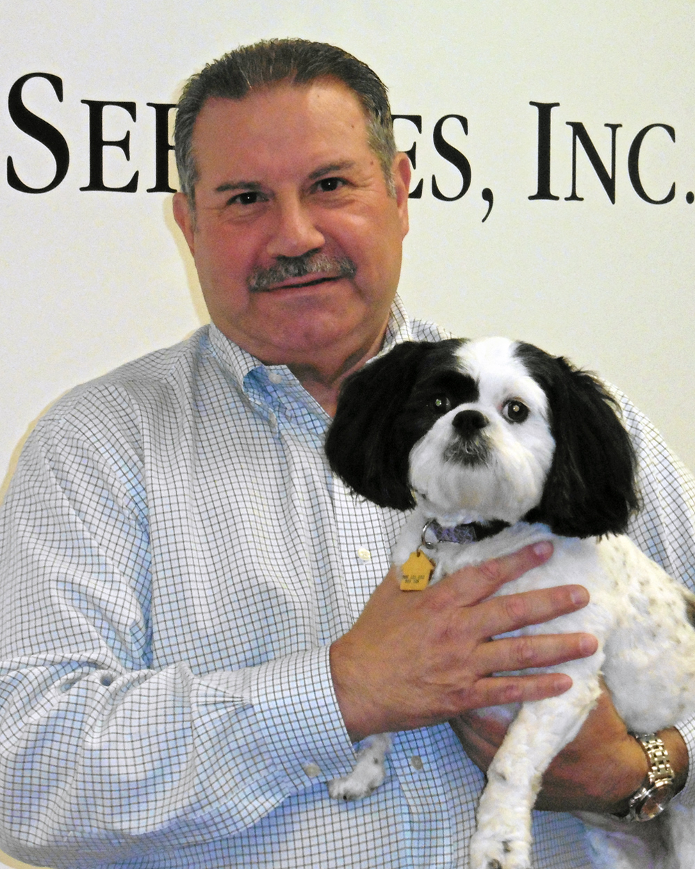 Our Team AJM Real Estate